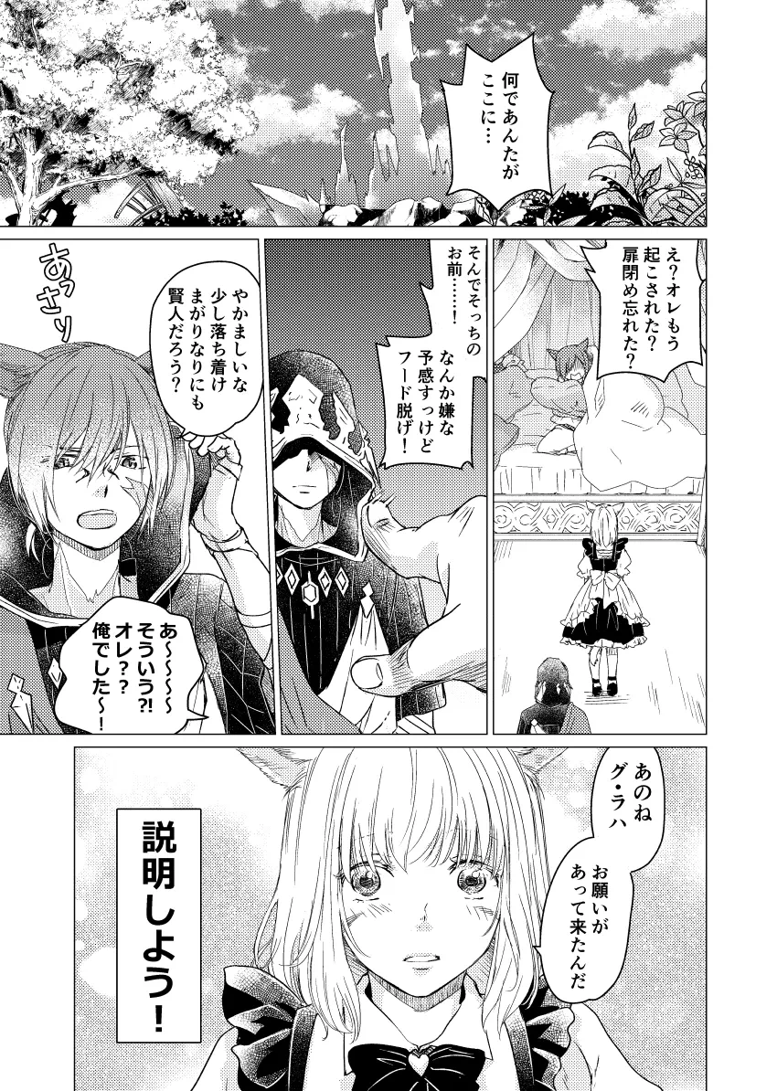 [ASM-P (Katakura Mikki)]Please give me some seeds (Final Fantasy XIV) [Digital]