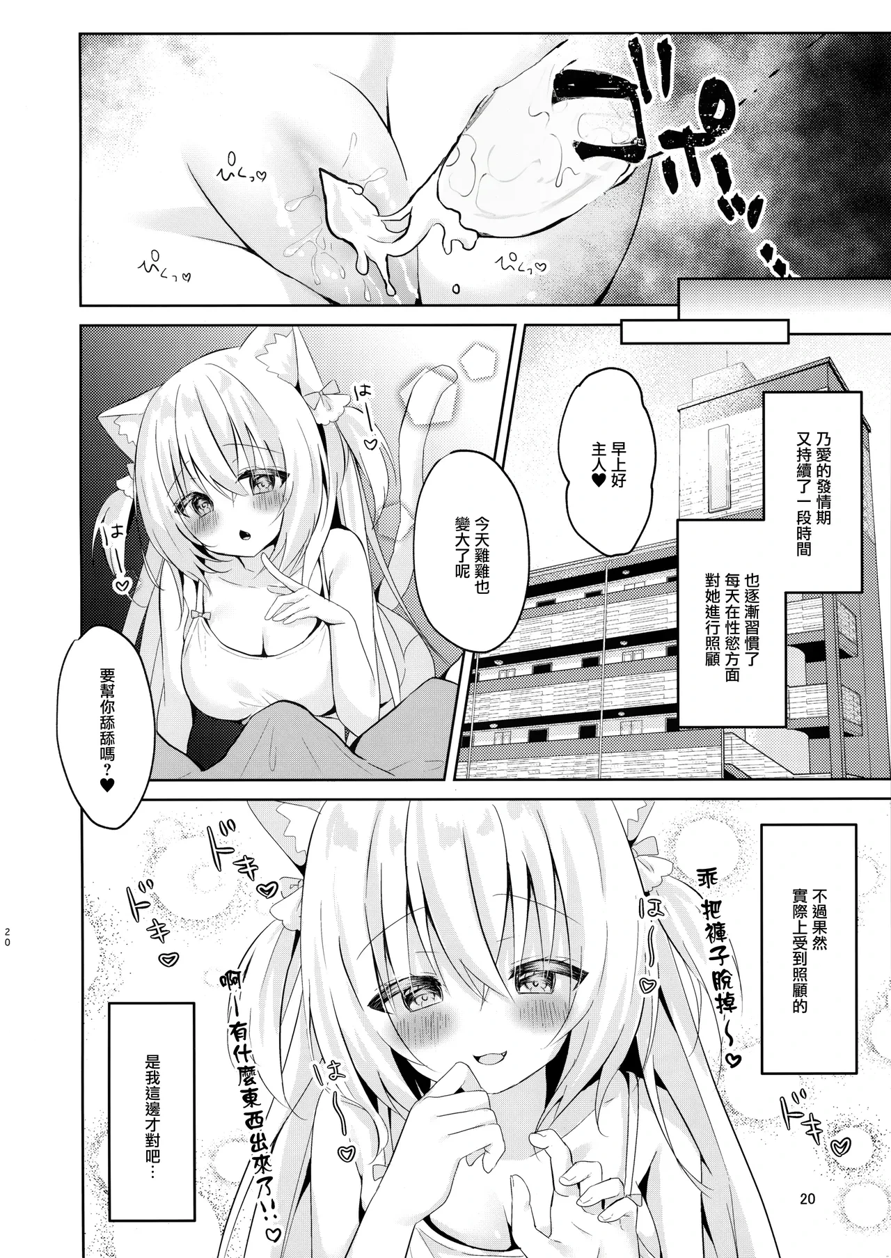 หน้า 20