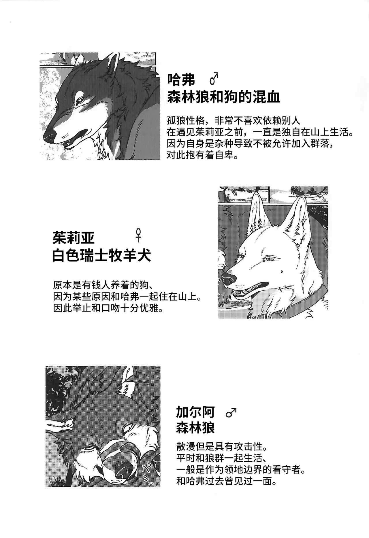 (Kansai Kemoket 10) [Neko no Shuukaijo (Nekomata)] 永恒的至爱 | ETERNAL FIRST [海豚之涌众筹汉化]
