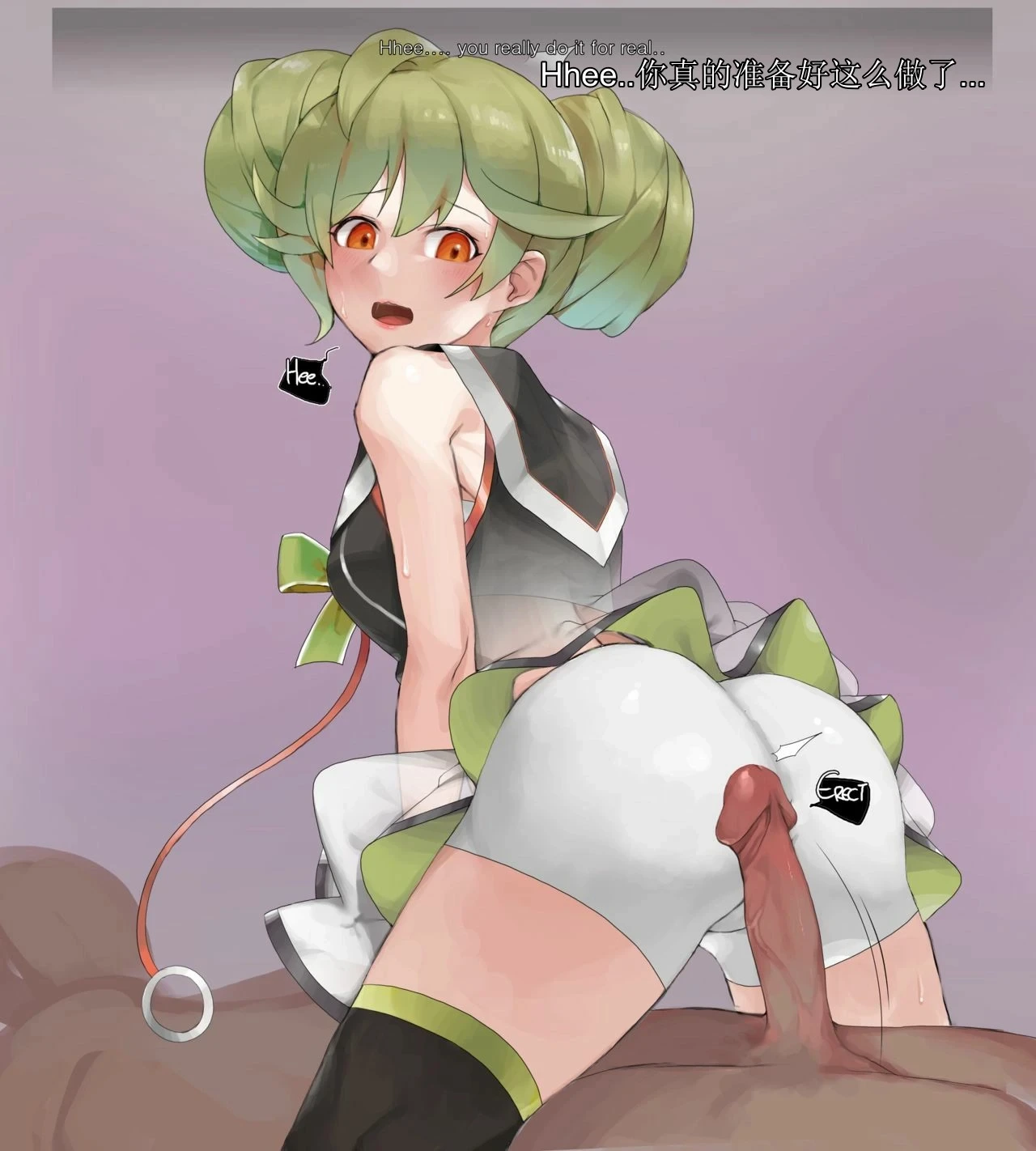 [Gimnaeng]honkai gakuen collection（honkai gakuen）[aqiaoge个人汉化]