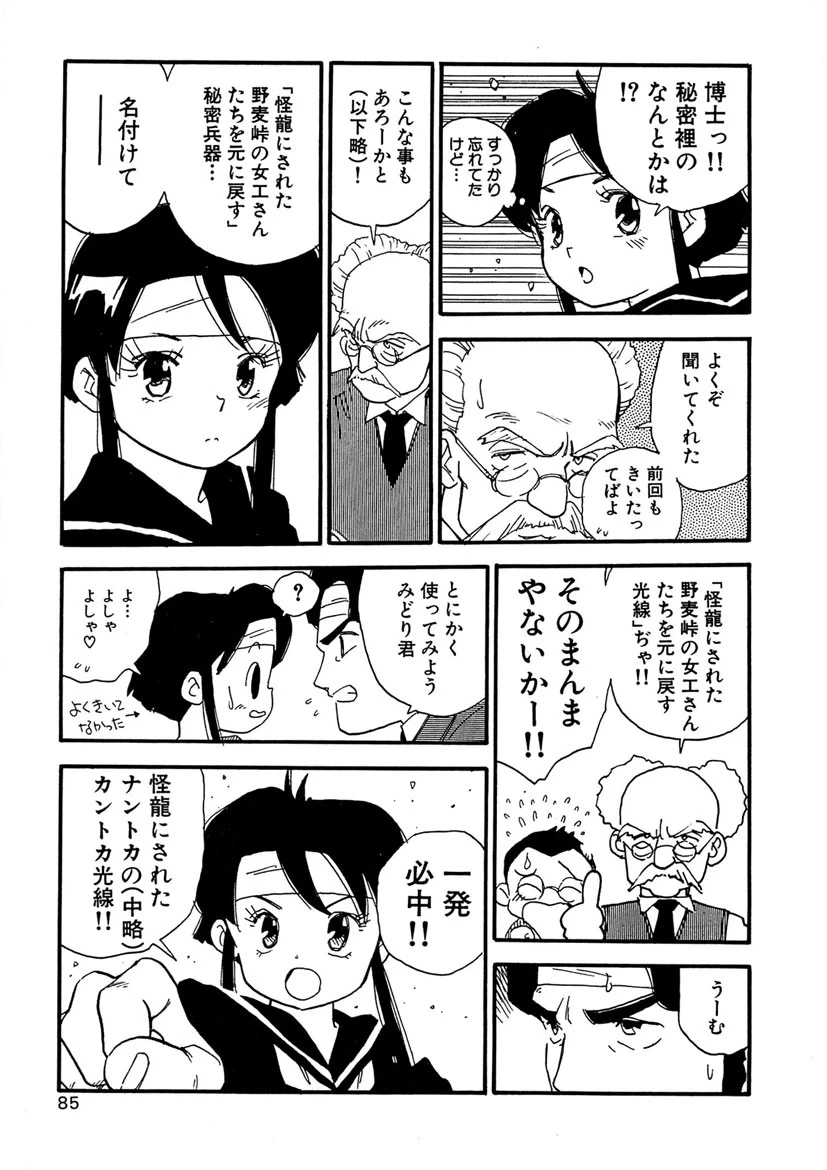 หน้า 85