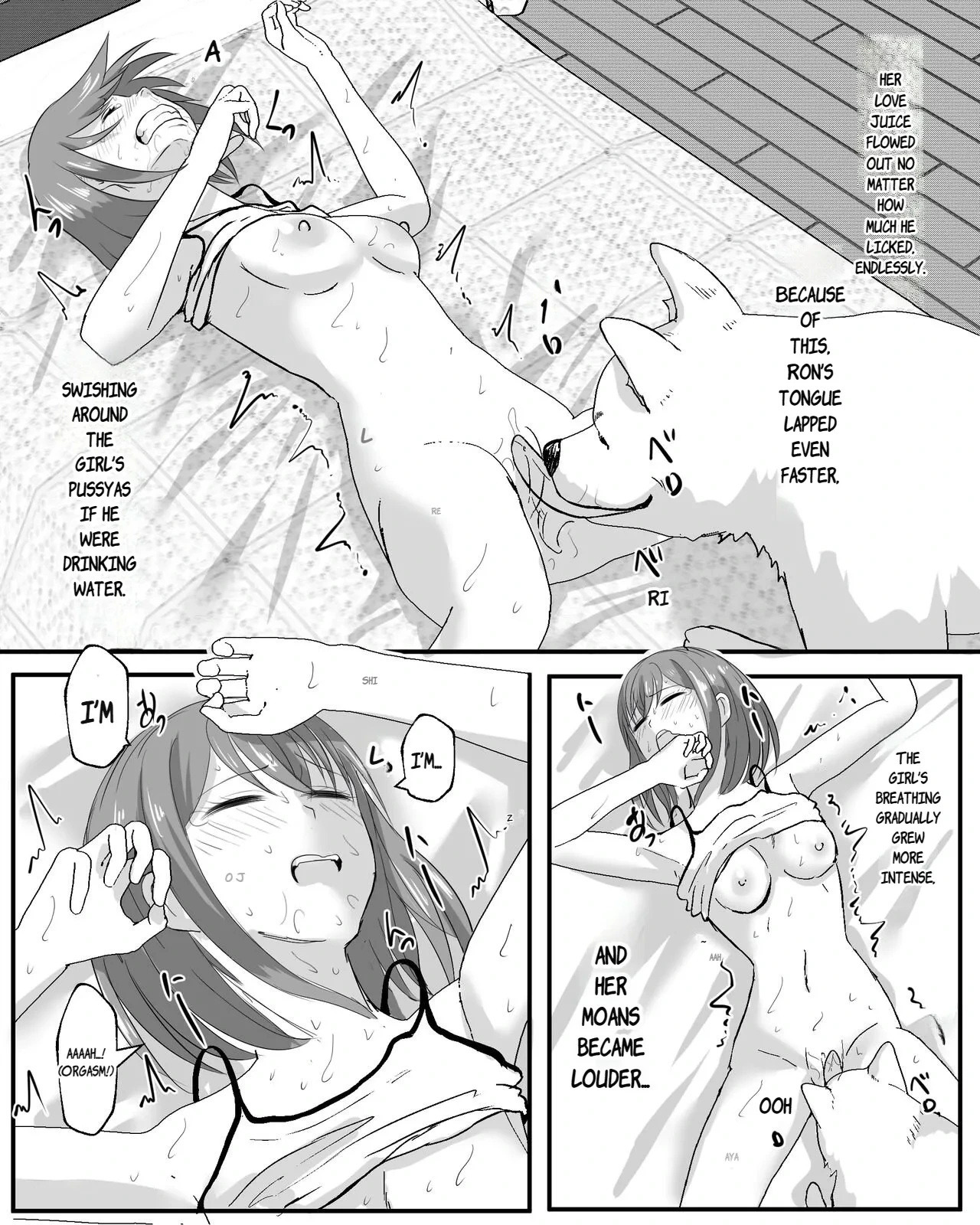 หน้า 11