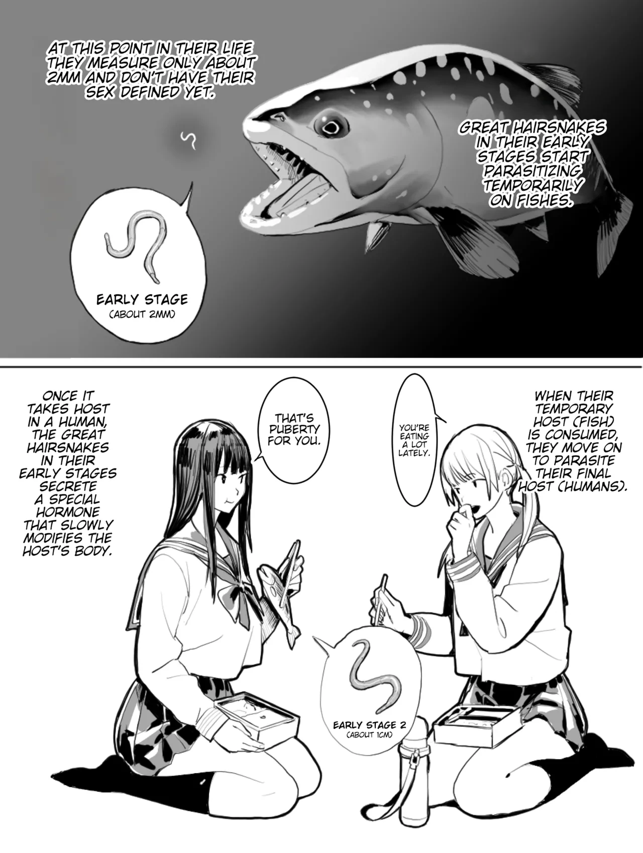 [Velzhe] Oohariganemushi No Seitai | The Great Hairsnake [English] [Kinsei Translations]