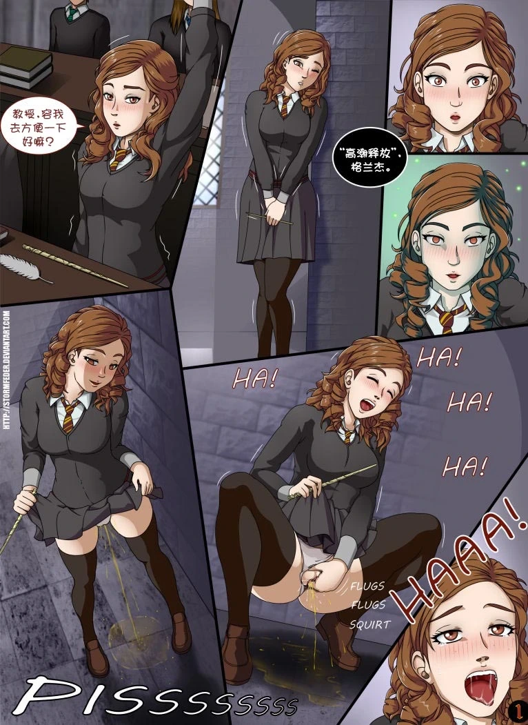 [StormFedeR] The Charm (Harry Potter) [心海汉化组]
