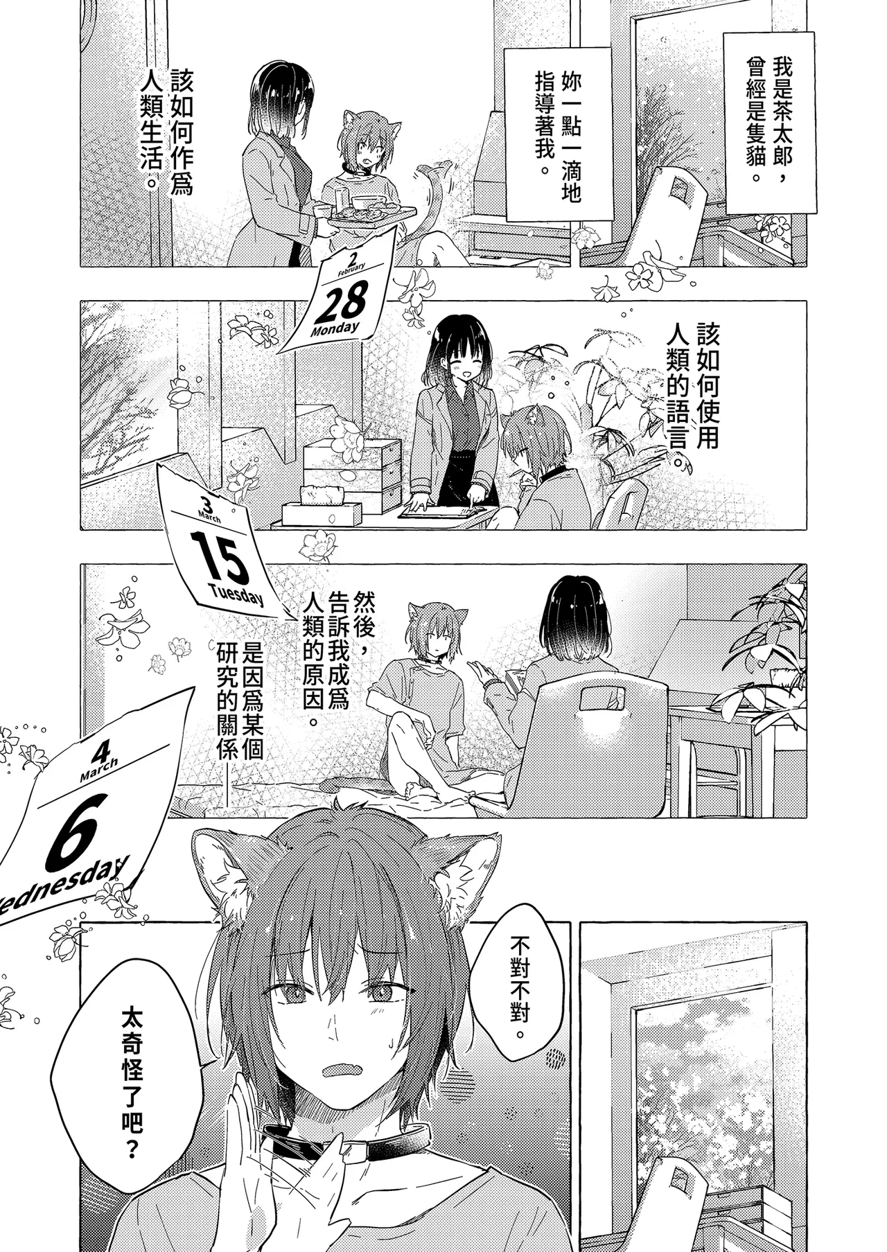 หน้า 11