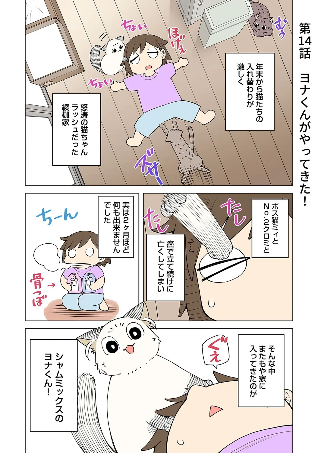หน้า 223
