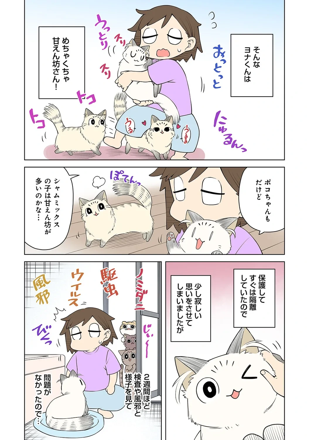 หน้า 225