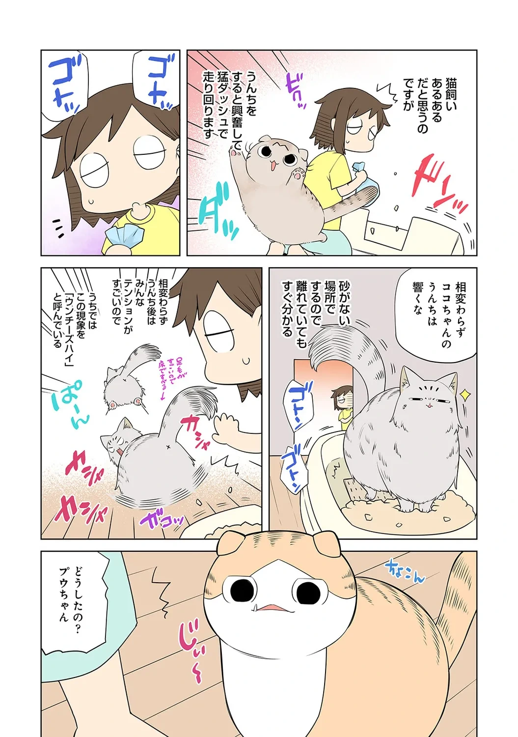 หน้า 246