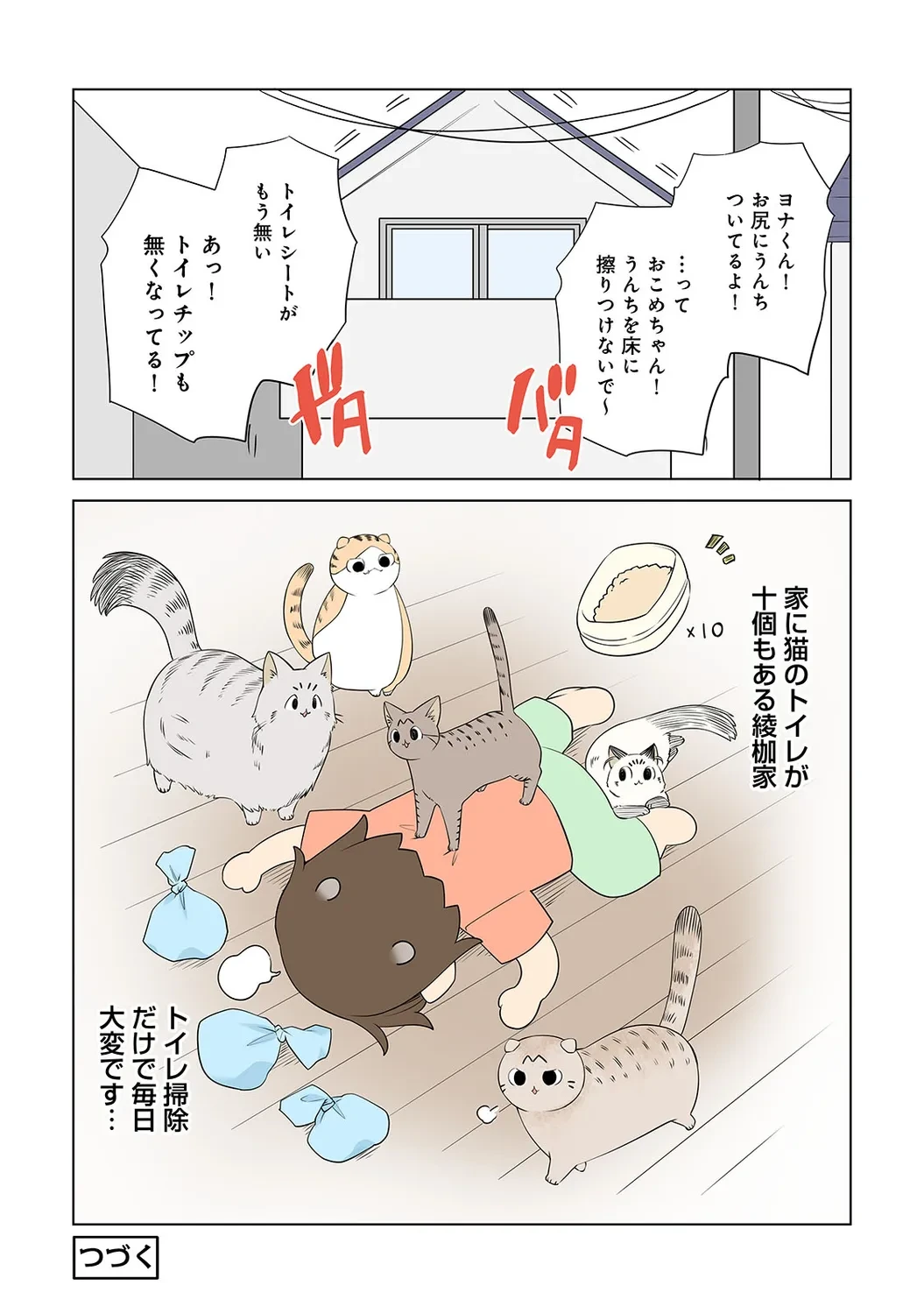หน้า 248