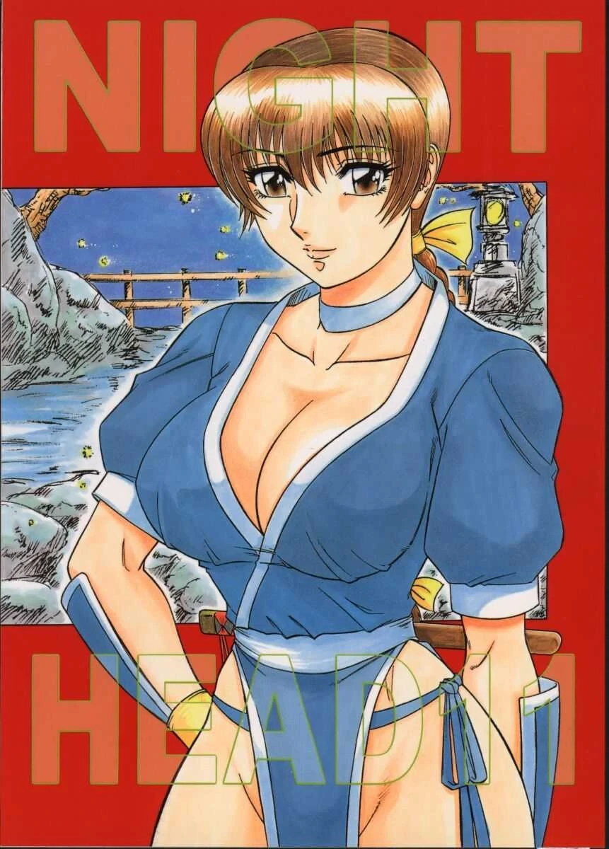 (CR27) [Circle Taihei-Tengoku (Aratamaru)] NIGHT HEAD 11 (Dead or Alive) [English] [CopyOf]