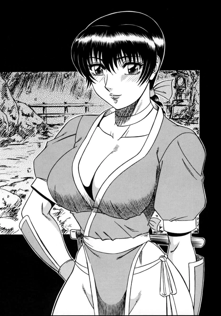(CR27) [Circle Taihei-Tengoku (Aratamaru)] NIGHT HEAD 11 (Dead or Alive) [English] [CopyOf]