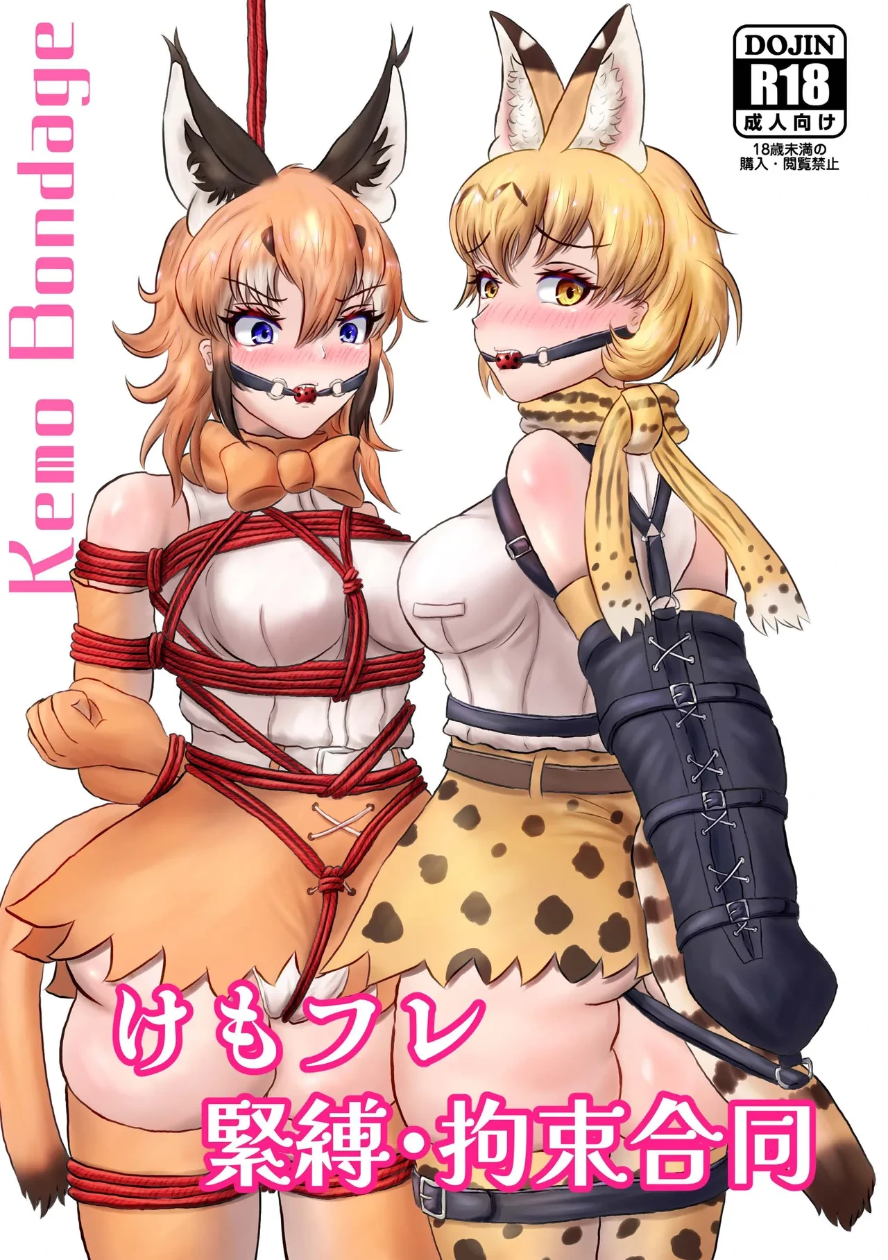 [Rorei Howittonee (Various)] Kemo Fri kinbaku kousoku goudou (Kemono Friends) [Digital]