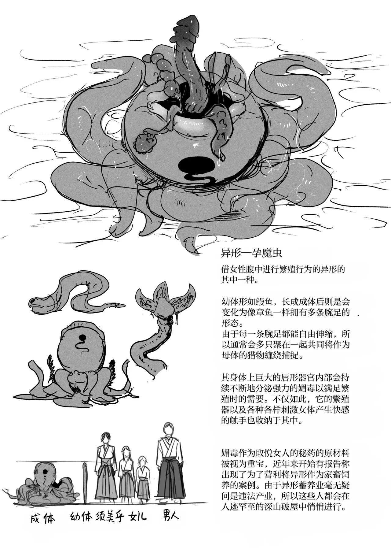 หน้า 41