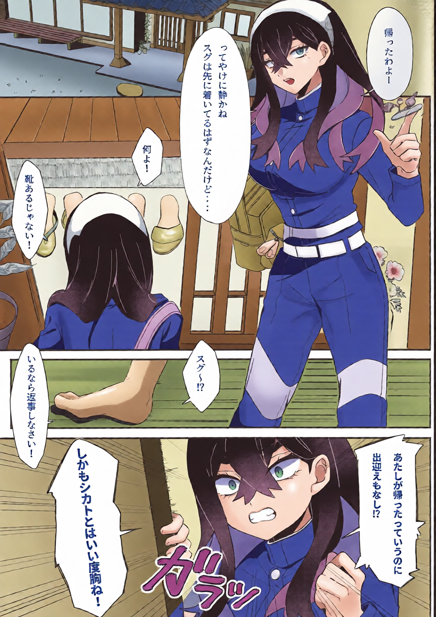 (C107) [Hananusubito (Kikumon Tarou)] Koushin no Miko (Pokémon Horizons)