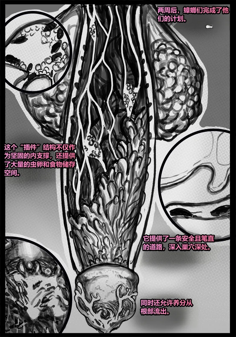 หน้า 55