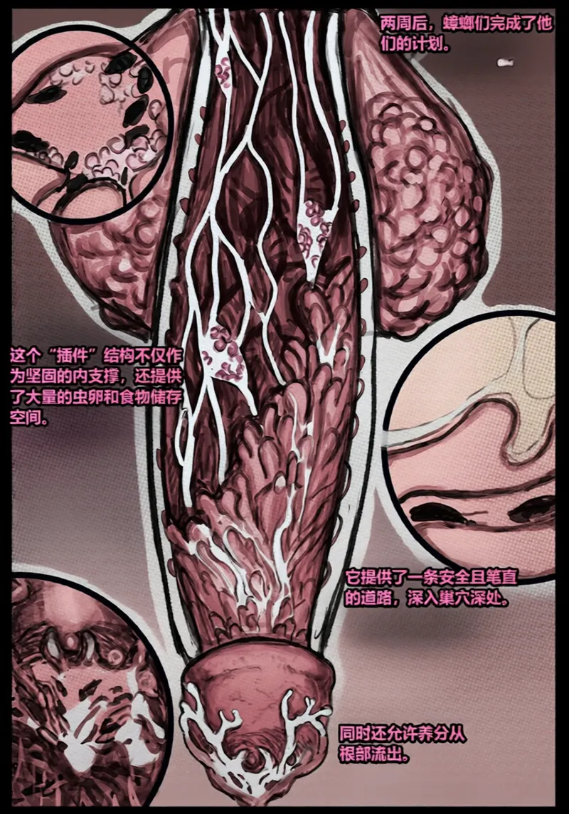 หน้า 54