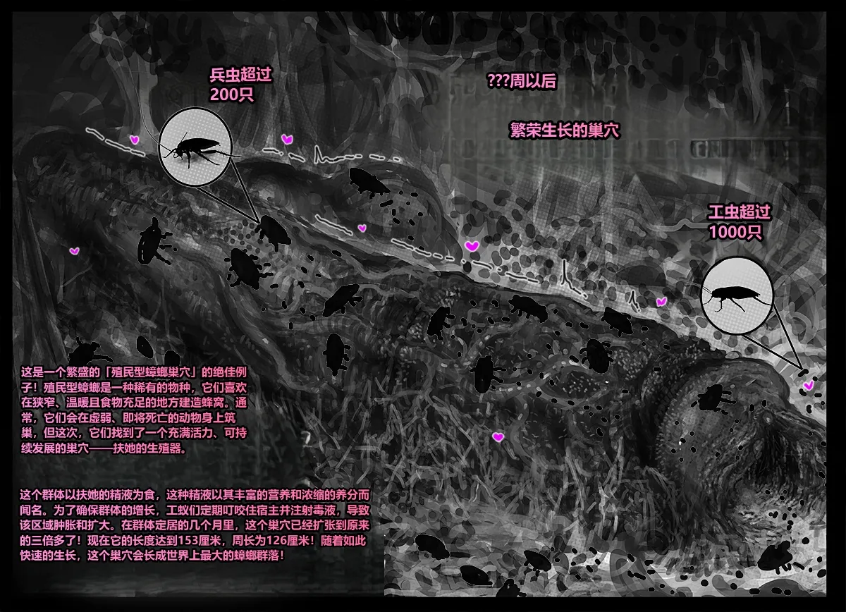 หน้า 65