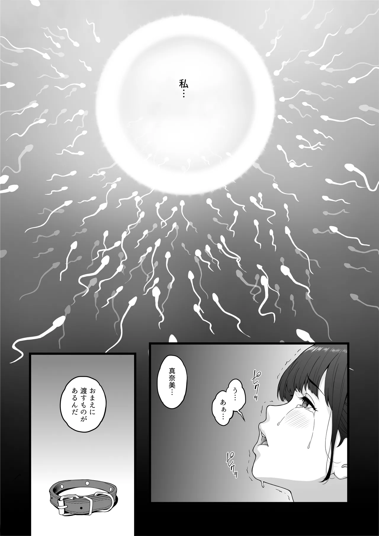 หน้า 41