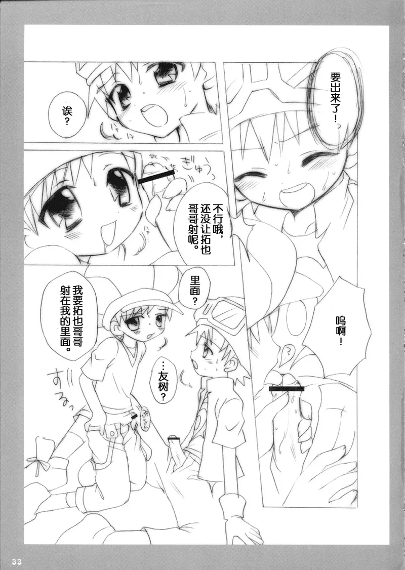 หน้า 33