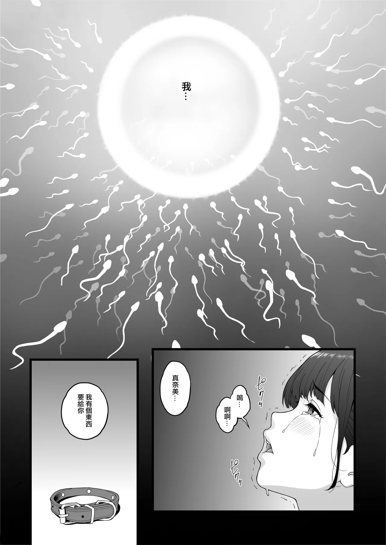 หน้า 41