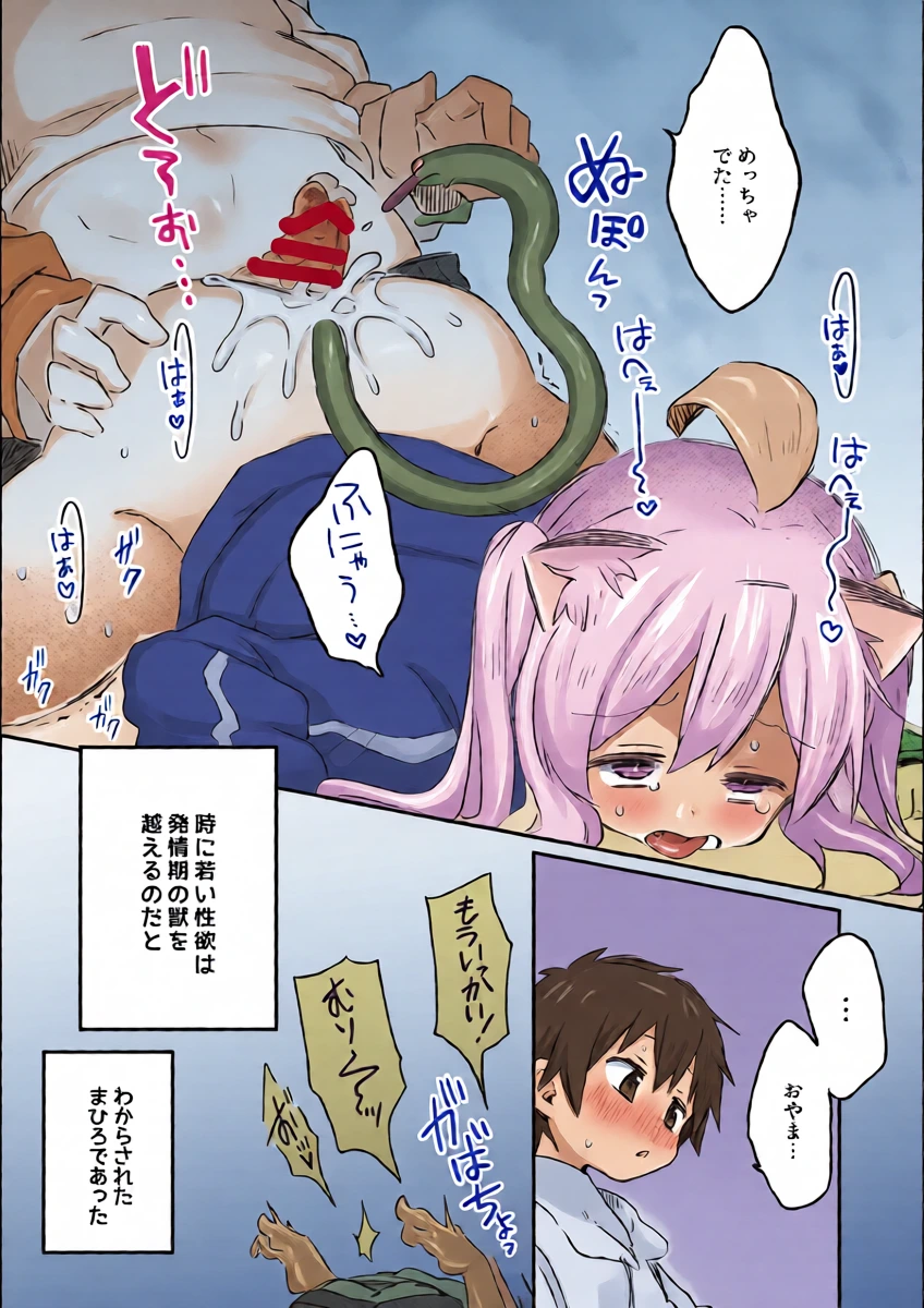 หน้า 13