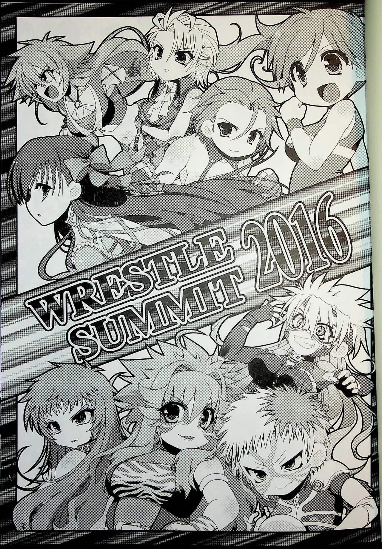 Wrestle Summit 2016