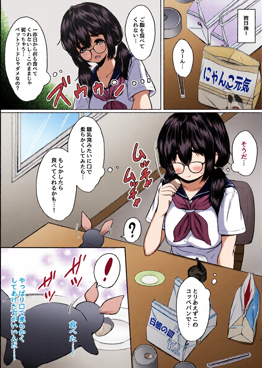หน้า 5