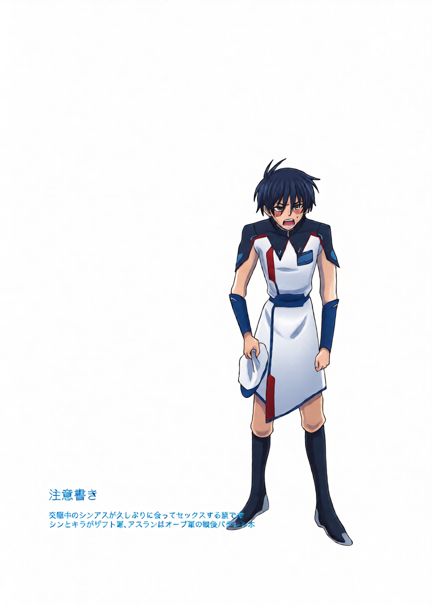 [いぶし貧 (namaGX)] そりゃしたいですよ！ (Gundam Seed Destiny) [Digital]