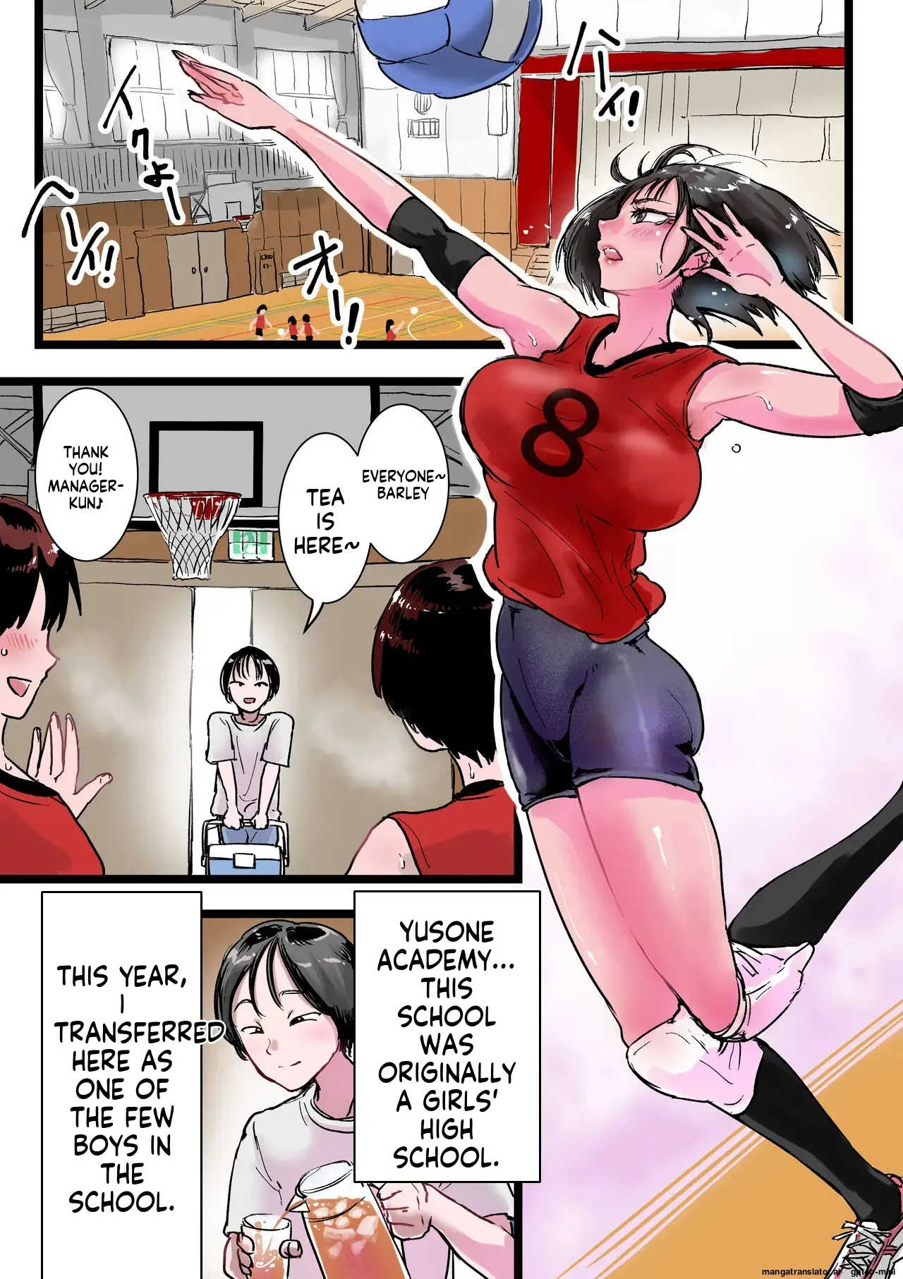 Women's volleyball club history