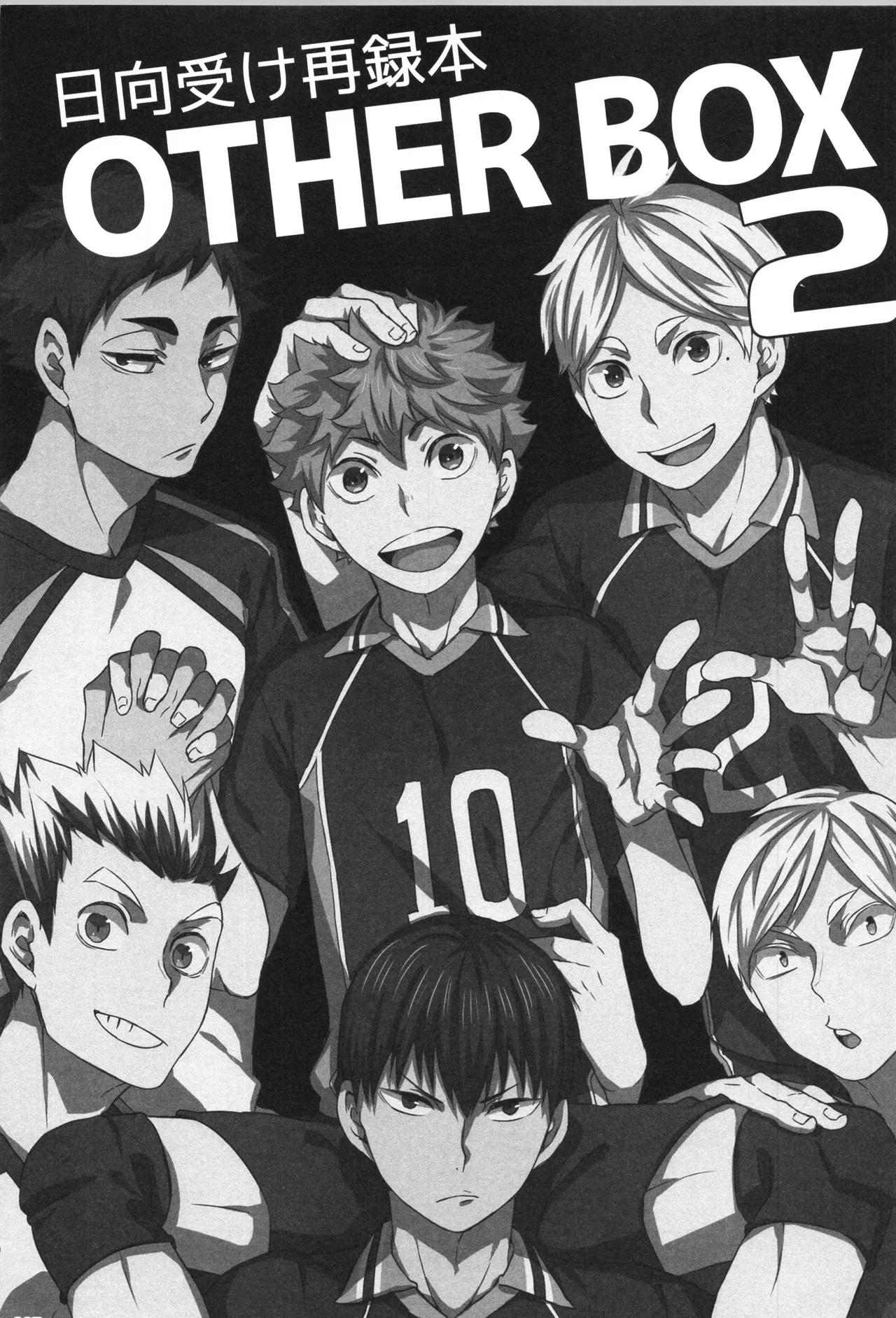 (RTS!! 15) [Yojohan (fzou)] Hinatauke Sairokuhon OTHER BOX 2 (Haikyuu!!)