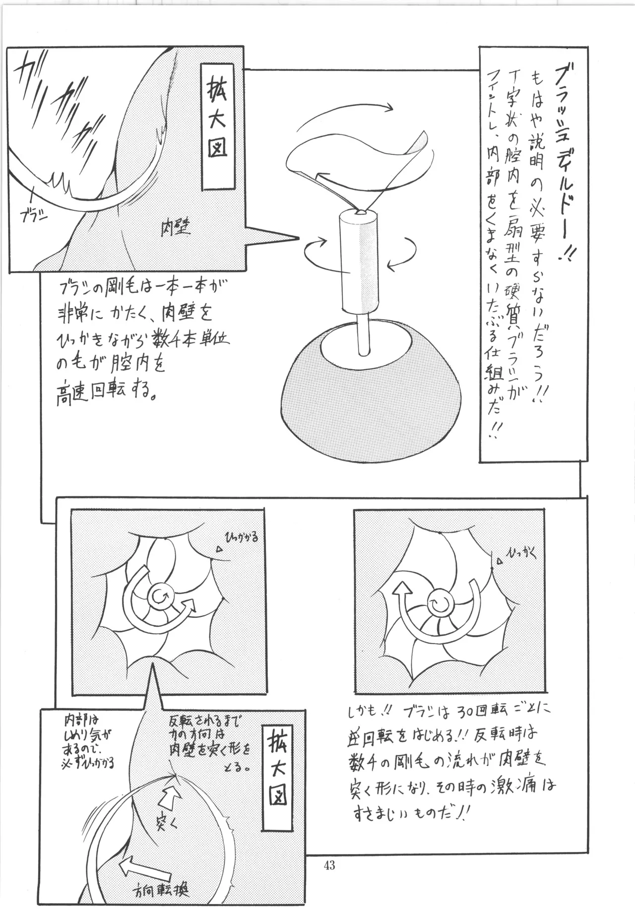 หน้า 43