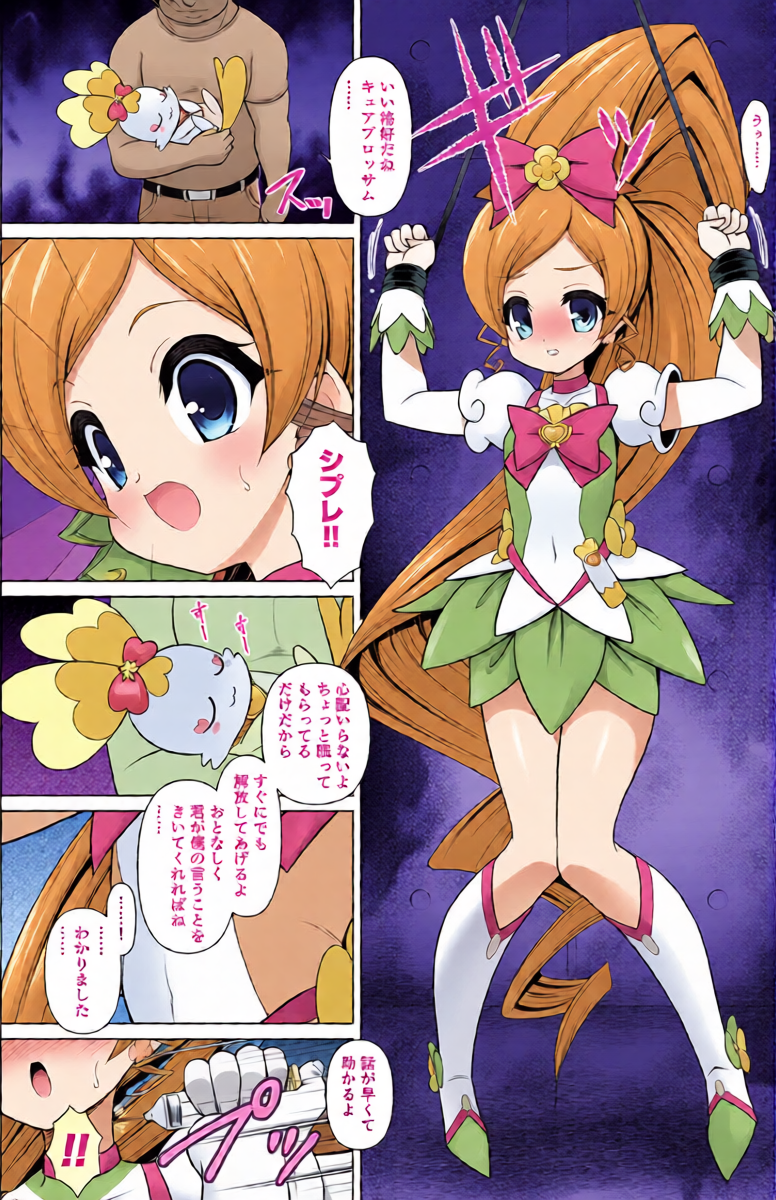 [Getsusekai] Cure Blossom Manga (Heart Catch Precure)