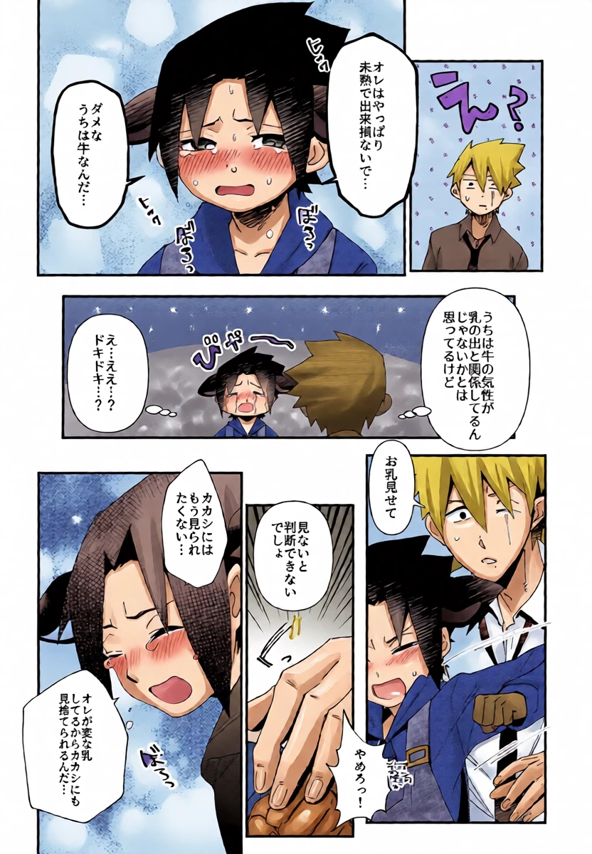 หน้า 13