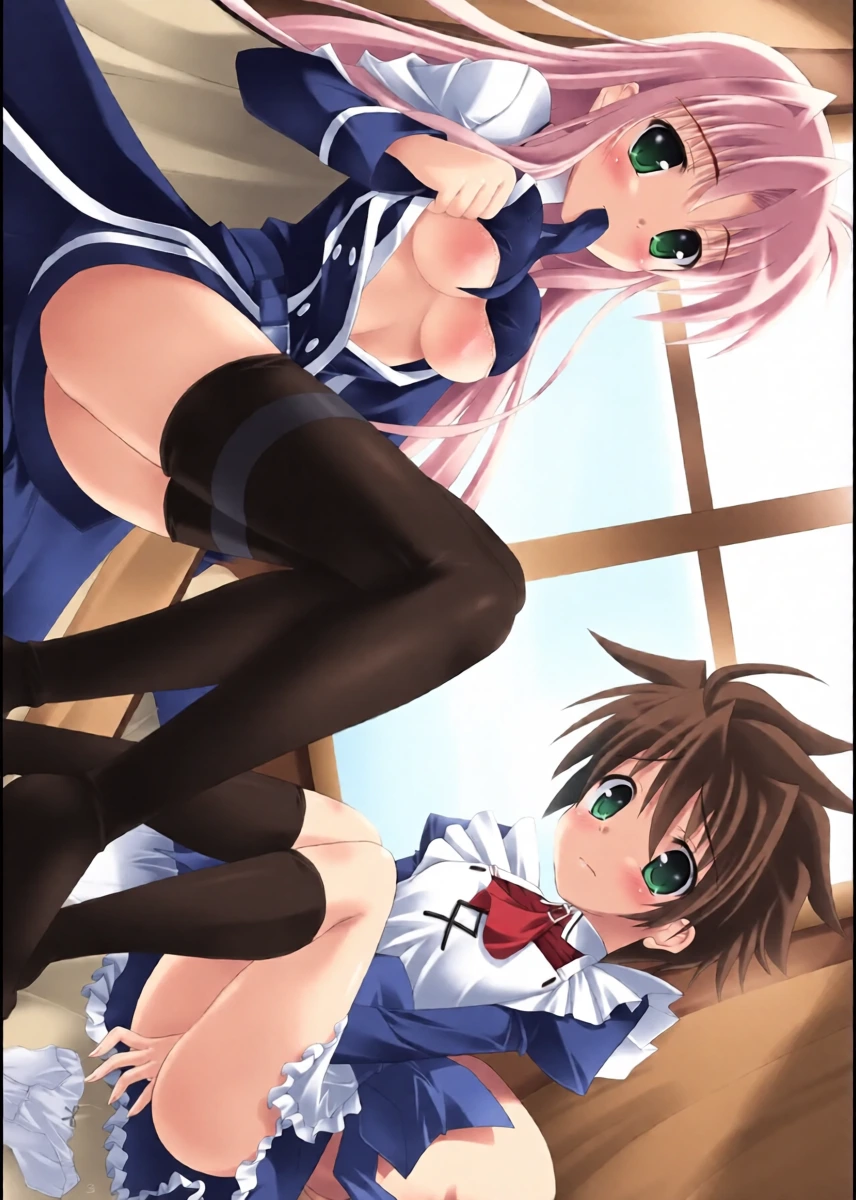 [Maho-Shinsengumi (Kouzuki Hajime)] Fate-san wa Josou Erio ga Osuki!? (Mahou Shoujo Lyrical Nanoha) [Digital]