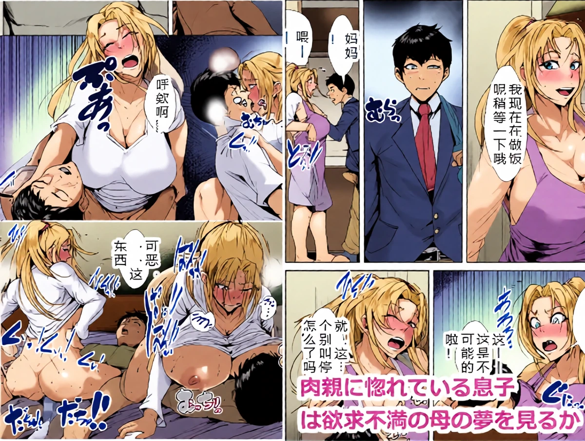[AKYS Honpo] Nikushin ni Horeteiru Musuko wa Yokkyuu Fuman no Haha no Yume o Miru ka [Chinese] [sakura机翻]