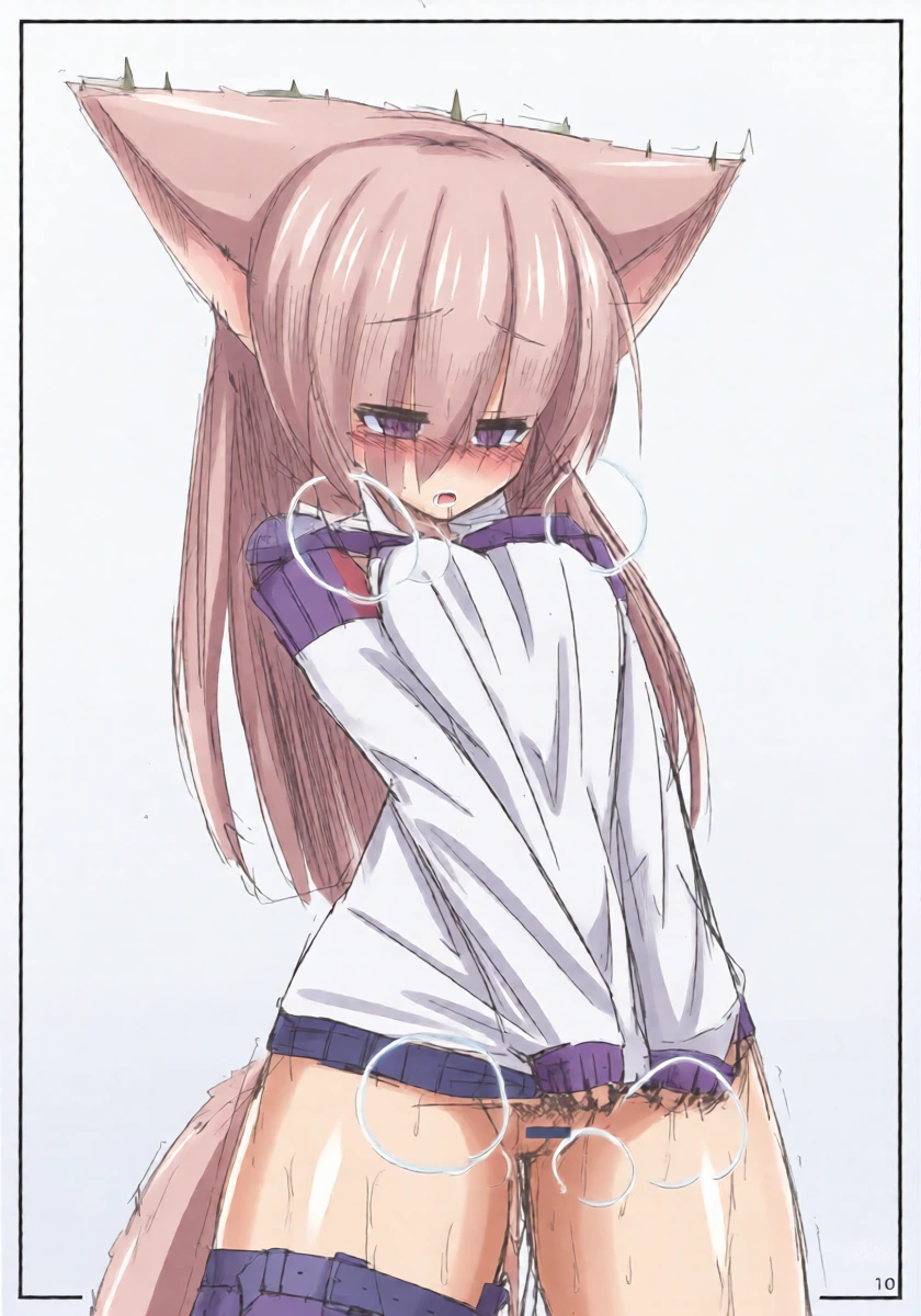 หน้า 11