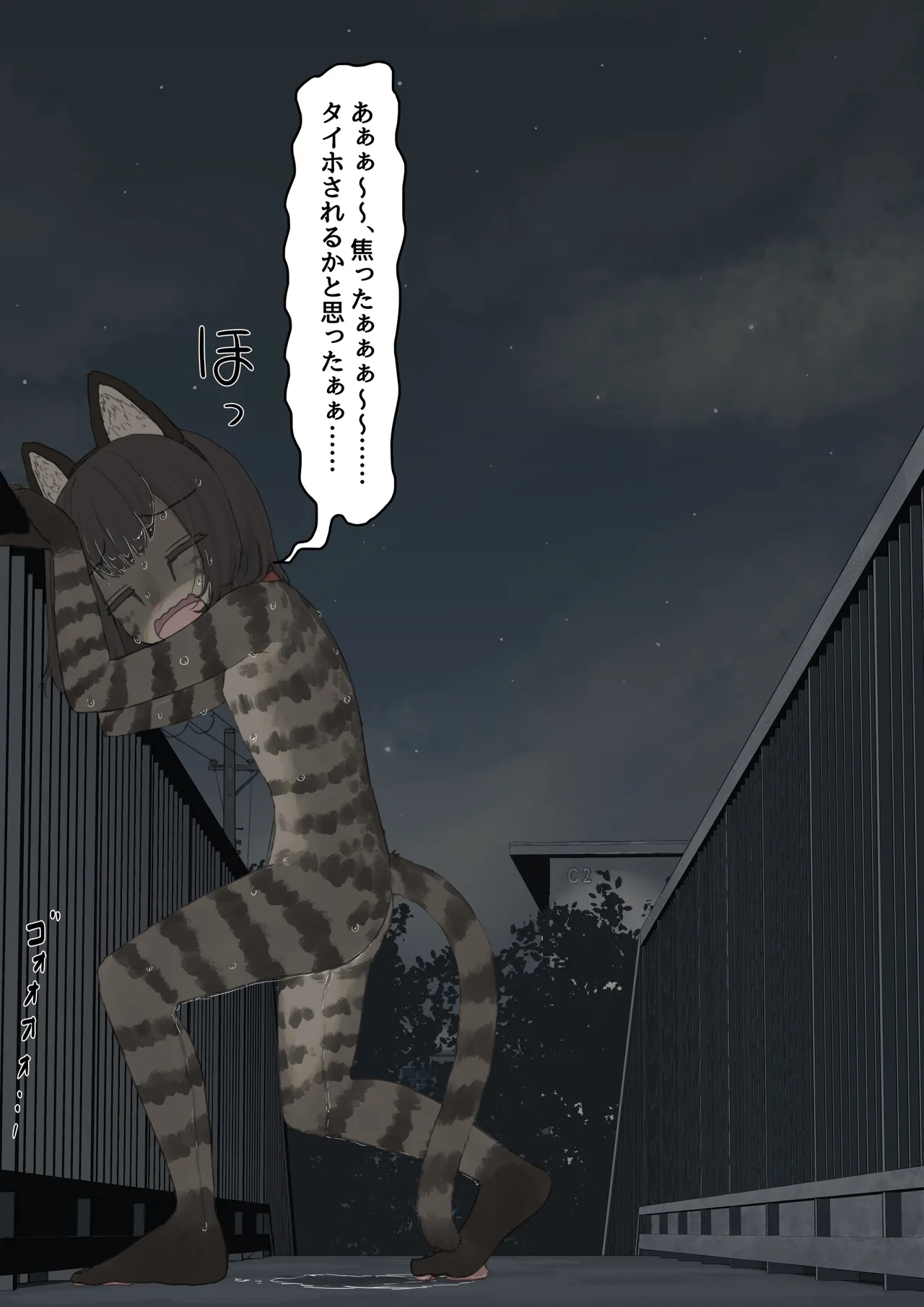 หน้า 41