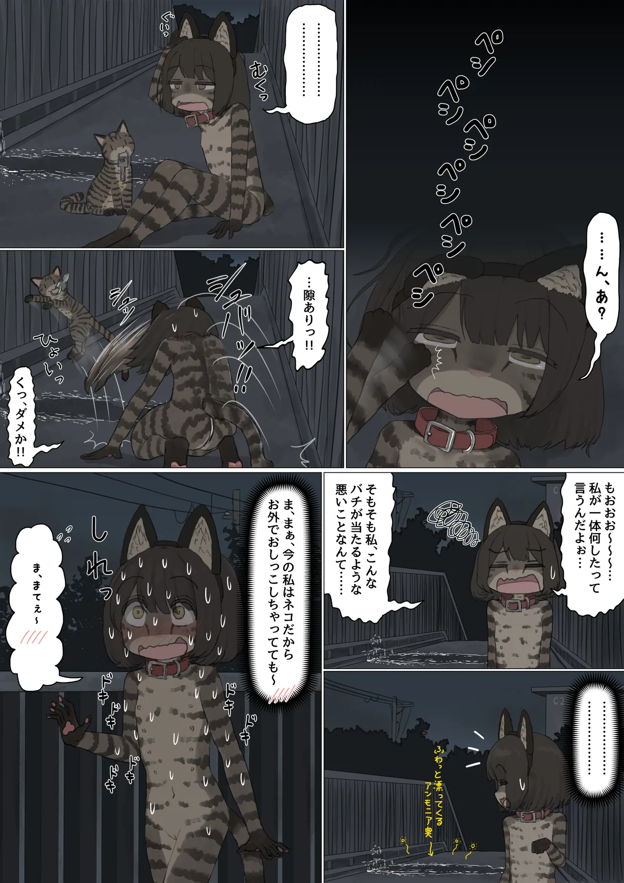 หน้า 51