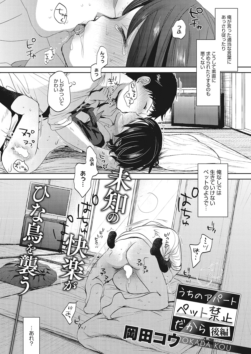 หน้า 41