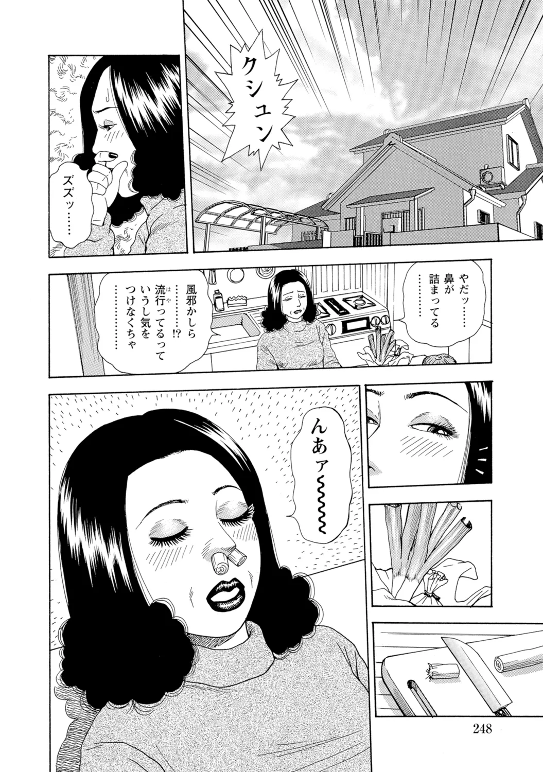 หน้า 247