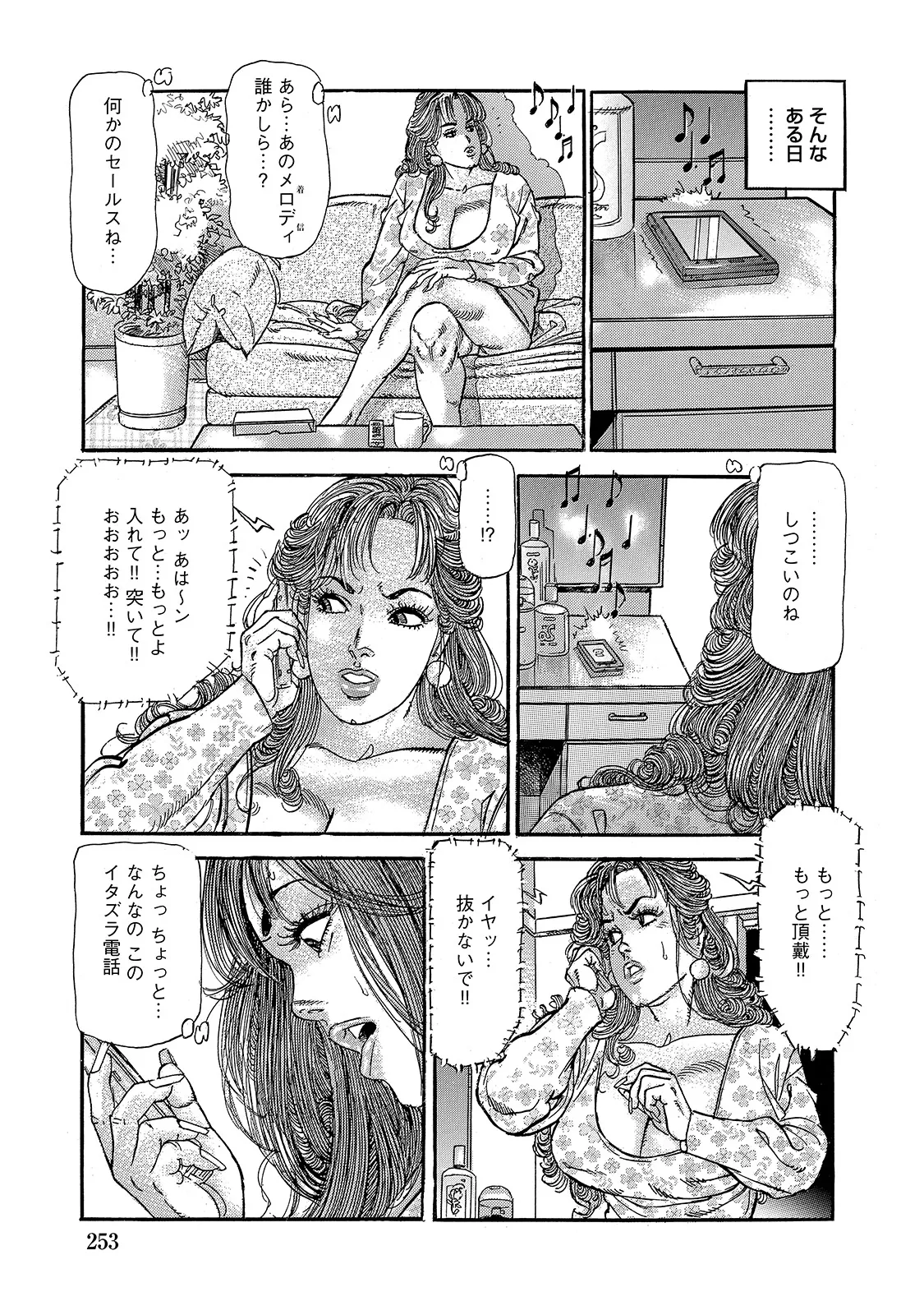 หน้า 253