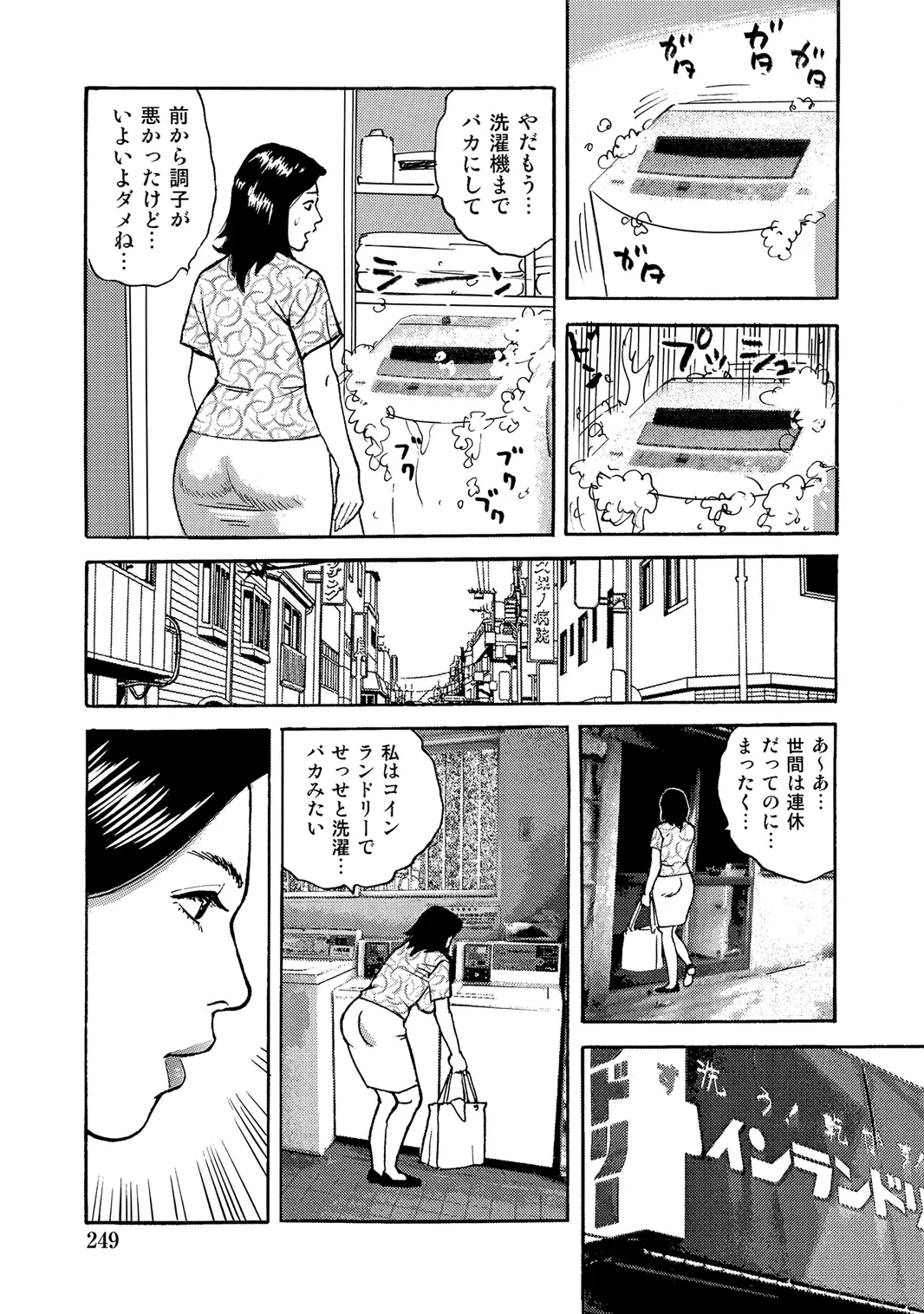 หน้า 248