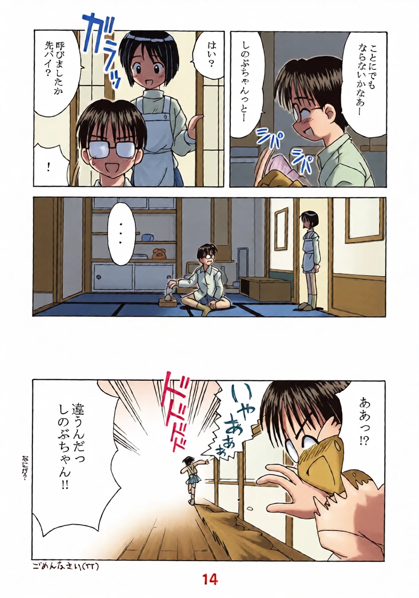 หน้า 13