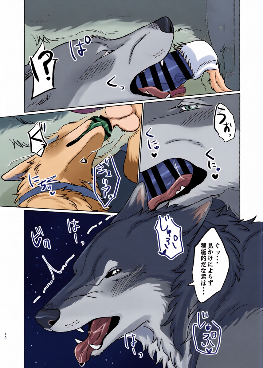 หน้า 17