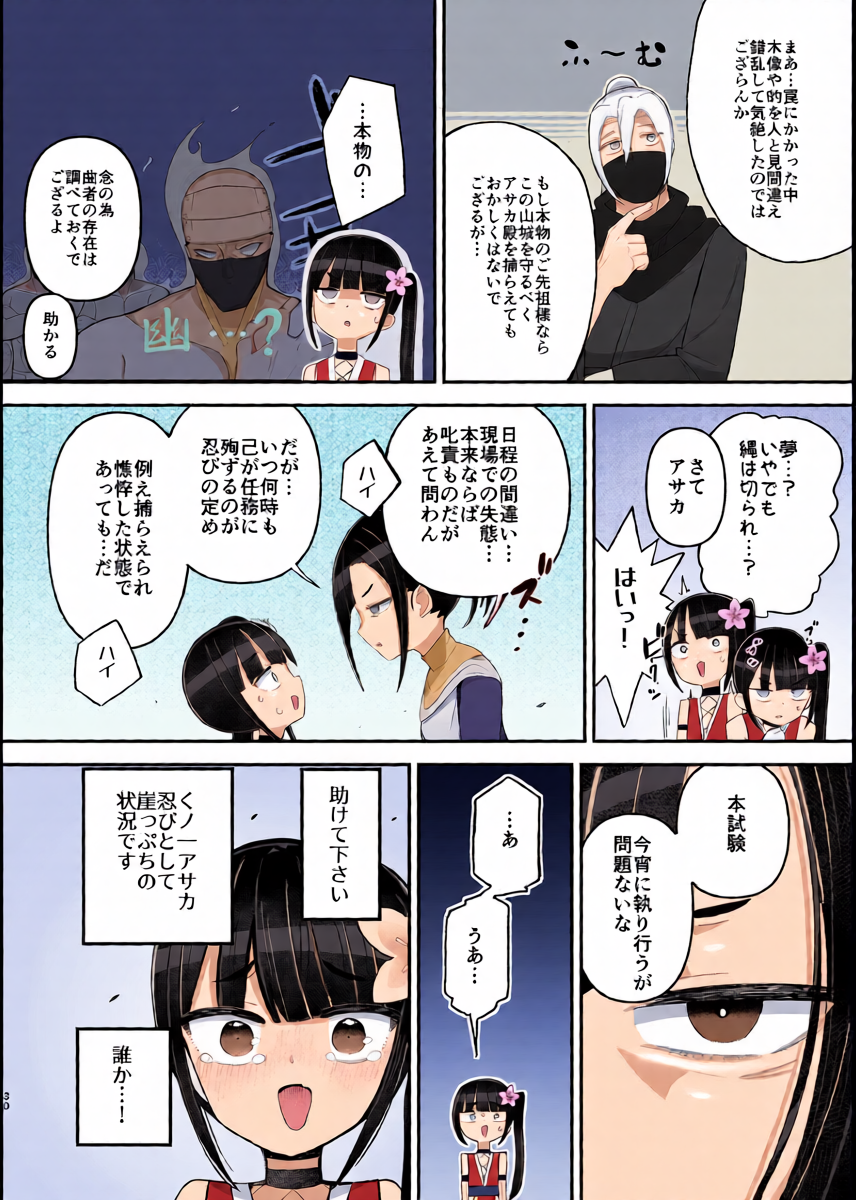 หน้า 30