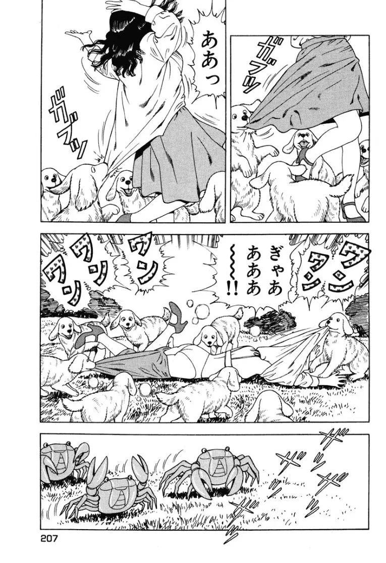 หน้า 206
