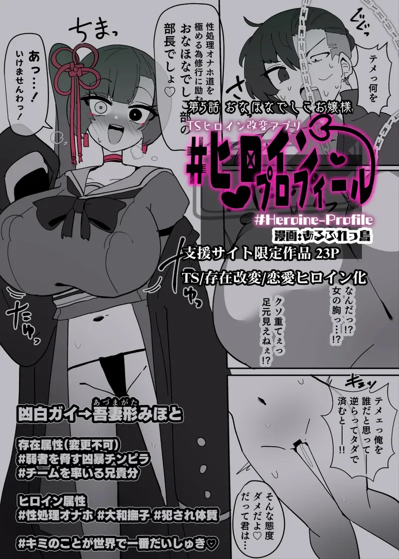 [Alfre-Tori] Heroine Profile⑤[Chinese]