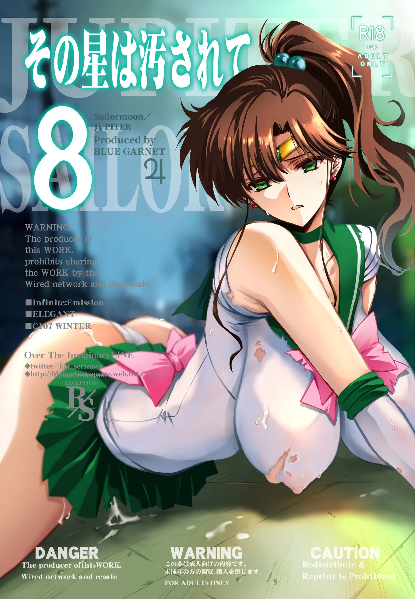 [BLUE GARNET (Serizawa Katsumi)] Sono Hoshi wa Yogosarete 8 | 被玷污的那颗星 8 (Bishoujo Senshi Sailor Moon) [Chinese] [光阴个人汉化] [Digital]