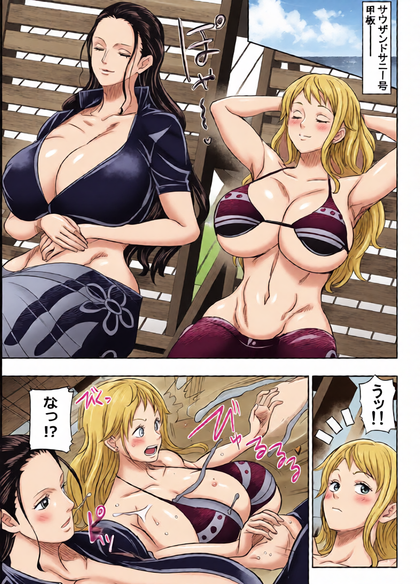[Osuwaani] Request Itadaita Mono desu (One Piece)