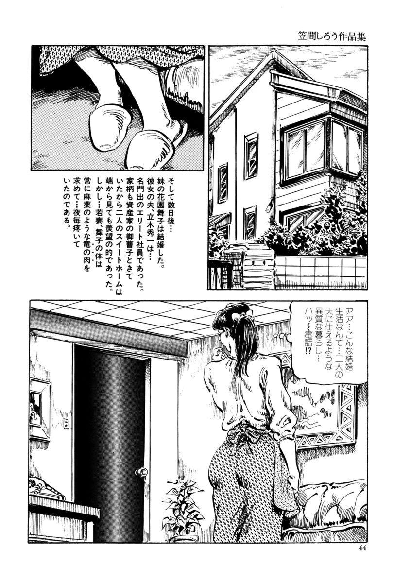 หน้า 41